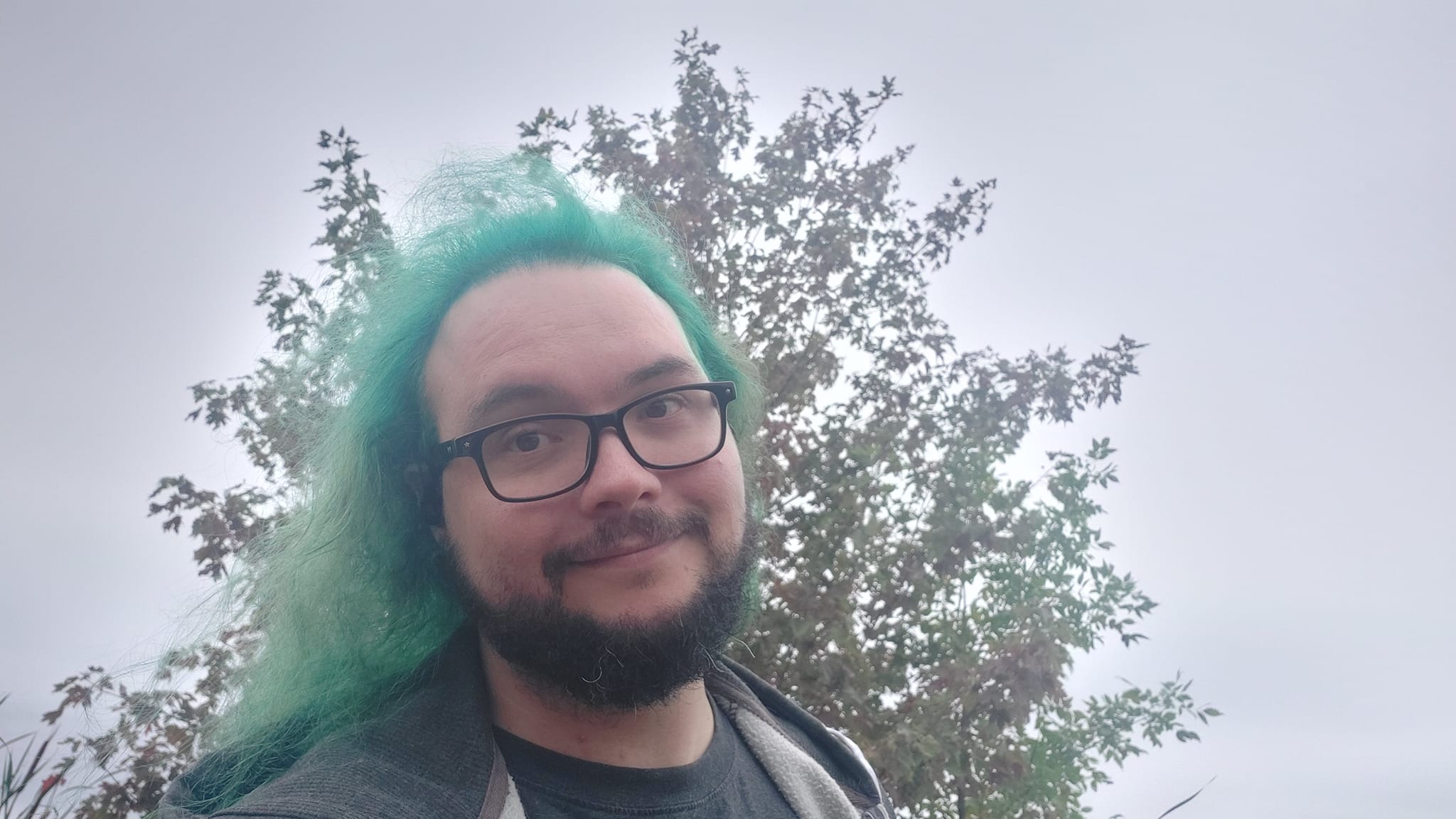 A man with green hair is visiting a freshwater marsh, photo 14